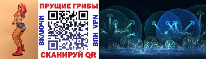 Псилоцибиновые грибы Psilocybine cubensis  Купить где  Мурино 