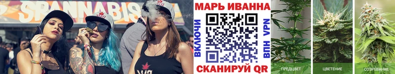 Шишки марихуана марихуана  Купить где  Мурино 